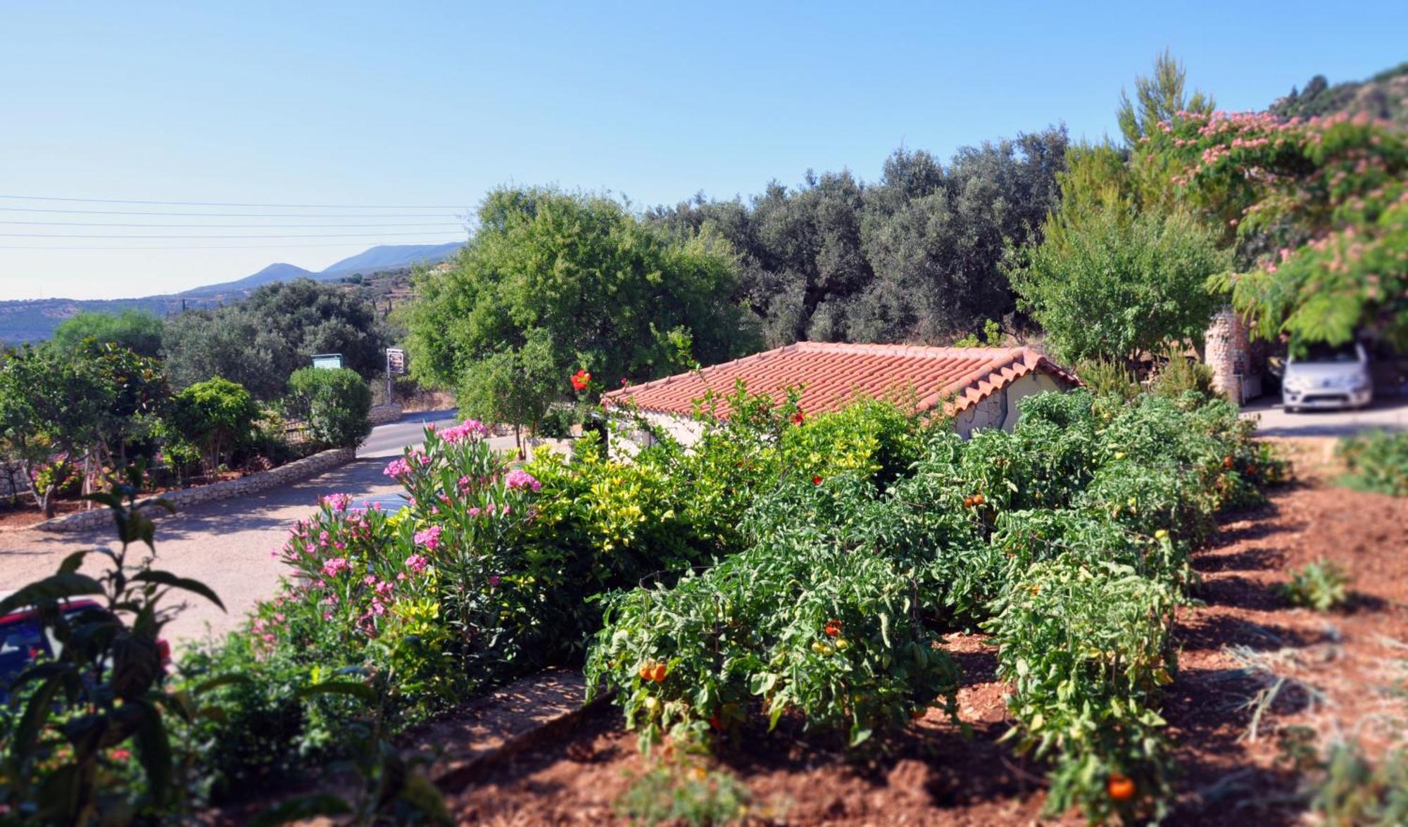 Panorama Updated With Infinity Pool * Agios Nikolaos (Zakynthos)