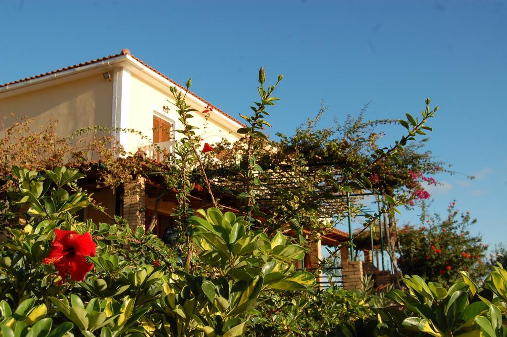 Panorama Updated With Infinity Pool Apartament